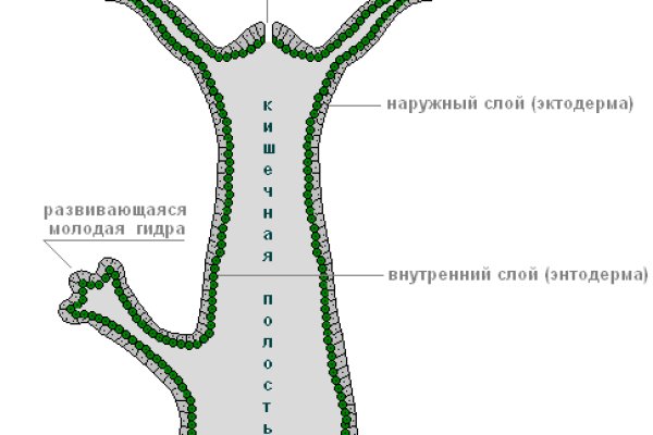 Взломали кракен аунтификатор