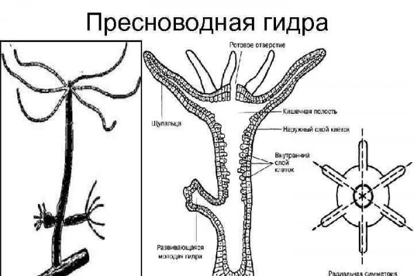 Кракен наркошоп ссылка